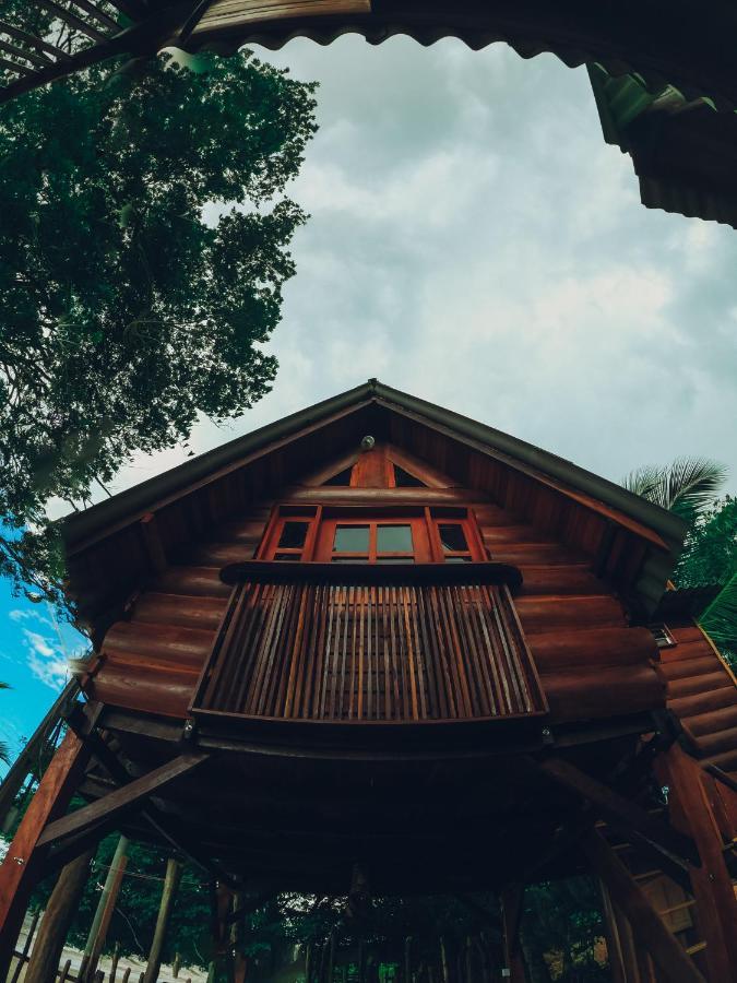 Chalet Chale Da Arvore